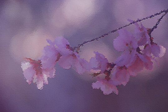 桃花油畫