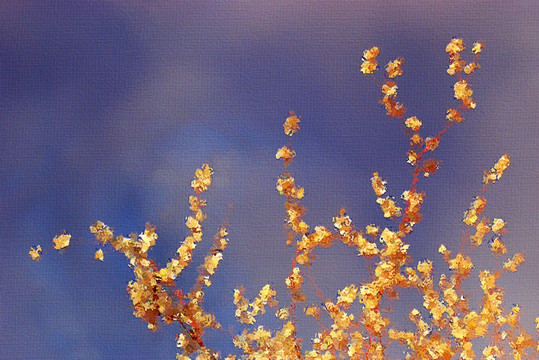 桃花油畫