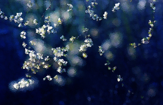 桃花油畫