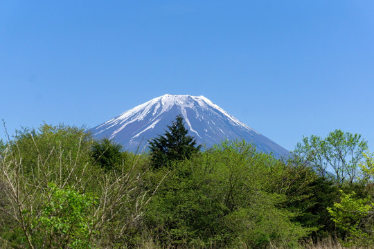 富士山