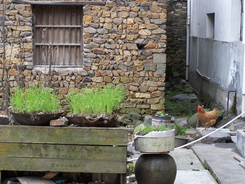 农家小院 农家小屋 石头房子