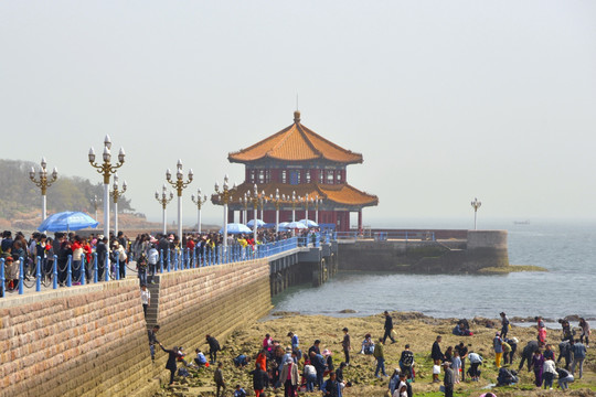 青岛栈桥景区 海景