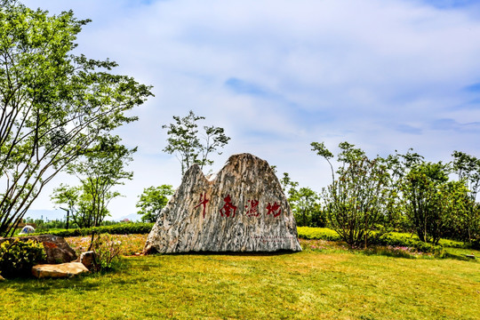 昆明斗南湿地公园