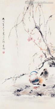 花鸟国画 画廊高清品质