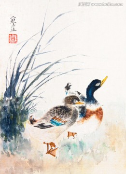 花鳥國畫 畫廊高清品質(zhì)