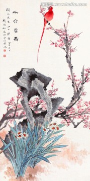 花鸟国画 画廊高清品质