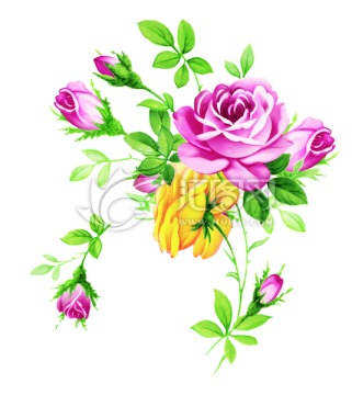 玫瑰花