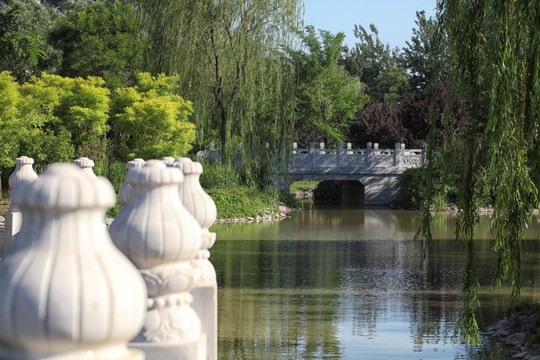 绿荫水景