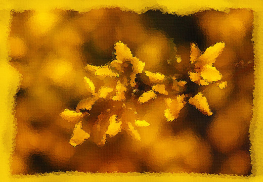 迎春花油畫