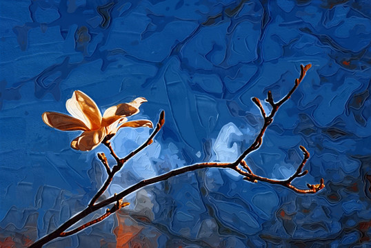 玉蘭花油畫