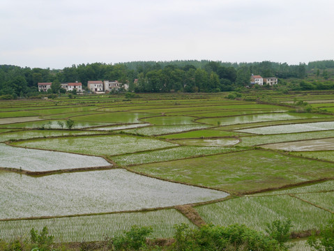 长江中下游平原