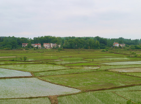 长江中下游平原