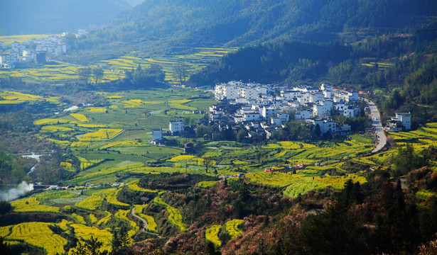 婺源 江岭