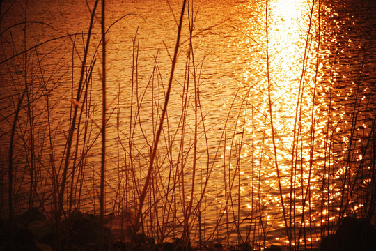 夕阳 水波 岸边