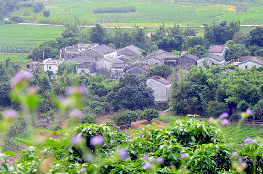 广东民居 老屋 巷道 广东古村