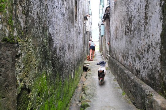 广东民居 老屋 巷道 广东古村