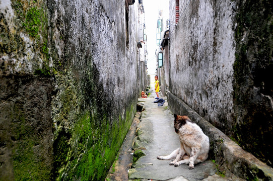 广东民居 老屋 巷道 广东古村