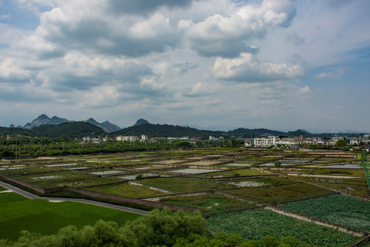 玉林五彩田园风光