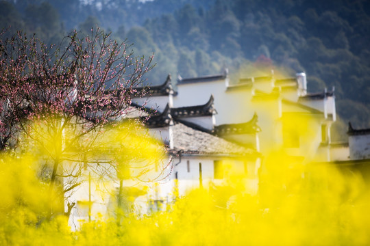 皖南山村