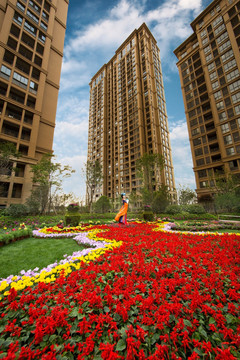 住宅小区美景