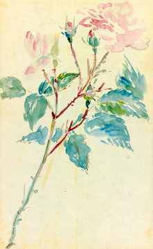 馬奈  歐洲花卉靜物油畫(huà)