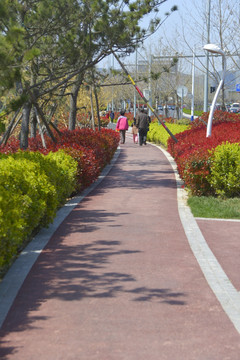 城市健身道 青岛滨海旅游步行道