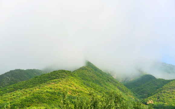 云山雾罩