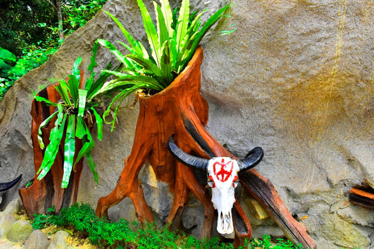 三亚槟榔谷 牛头雕塑