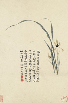 花卉冊(cè)頁(yè)