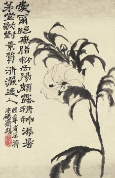 花卉冊頁
