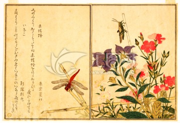 日本畫