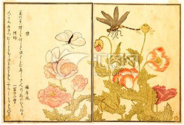 日本畫