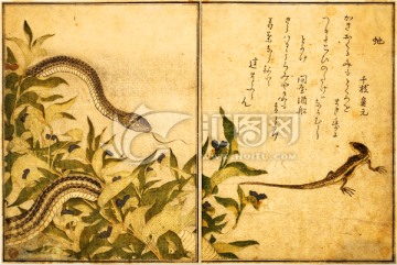 日本畫