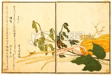 日本畫(huà)