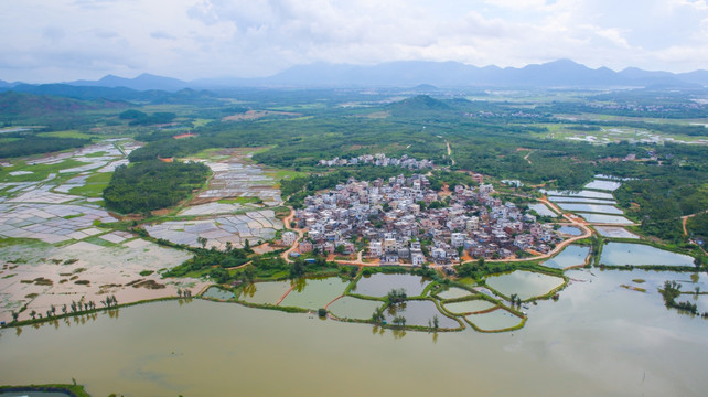 上洋镇福湖村