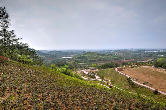 金华雅畈镇上岭殿村全景