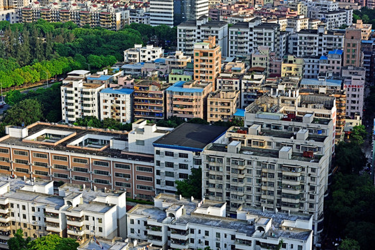 深圳城中村 新洲村