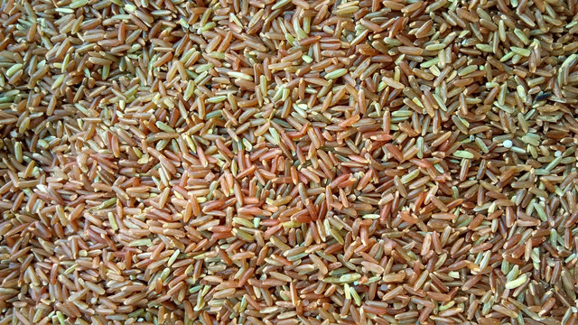 长红米