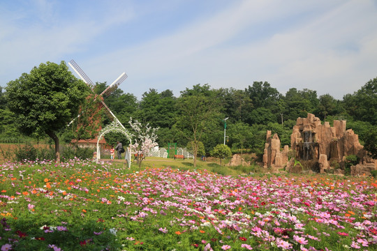 红色的花 婚纱外景地