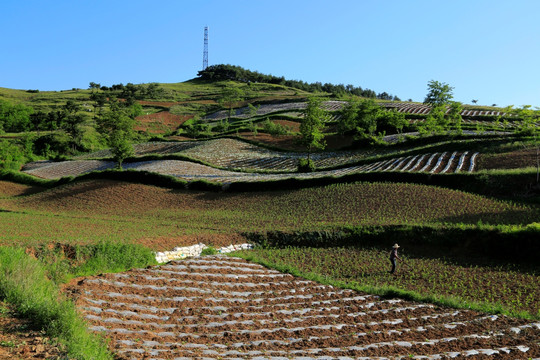 田园景色