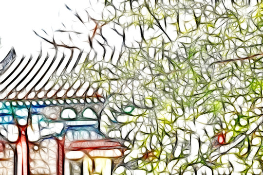 文冠果開花
