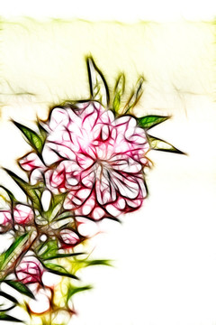 桃花