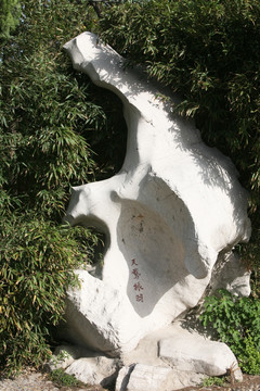 奇石 太湖石 景观 石 园林