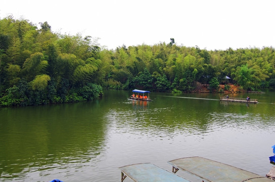 竹林 湖泊