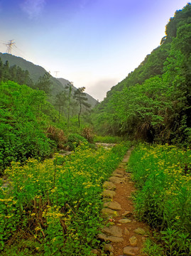 金华塔石乡小埠口村棺材坑景点