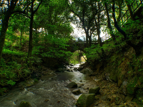 金华塔石乡余仓村山溪和石拱桥