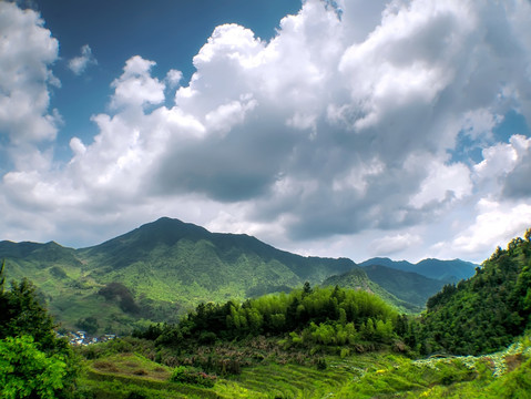 森林竹海高山流云