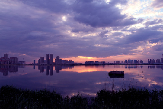 大庆 都市风光 龙凤湿地 清晨