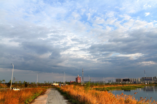 大庆 龙凤湿地 公路