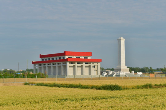 烈士陵园 麦田